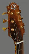 Standard Hollow body, Quilt top - head