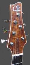 Standard hollow-body, All Koa - head